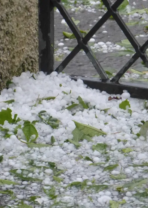 how to file hail damage claim in New Mexico