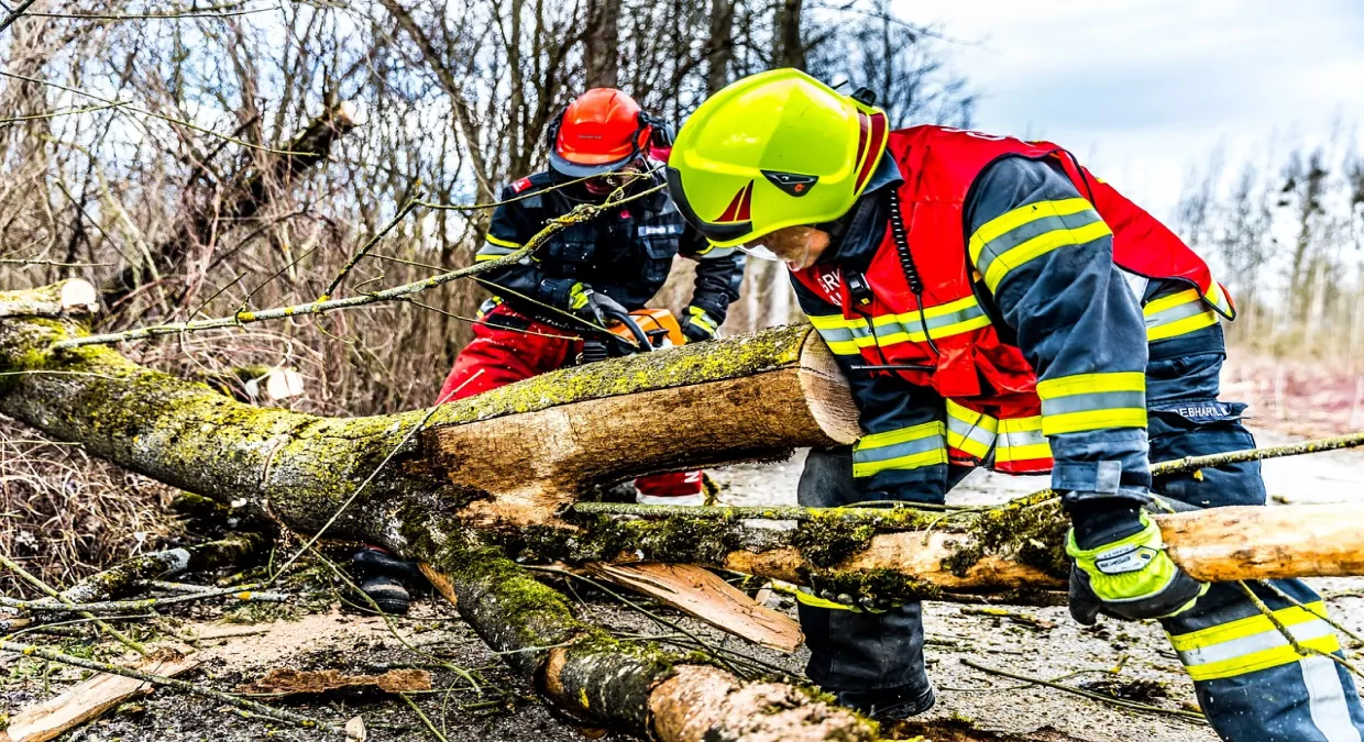 wind damage insurance claims