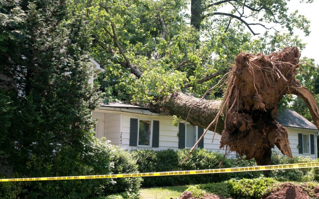 What To Do After Storm Damage to Your Property