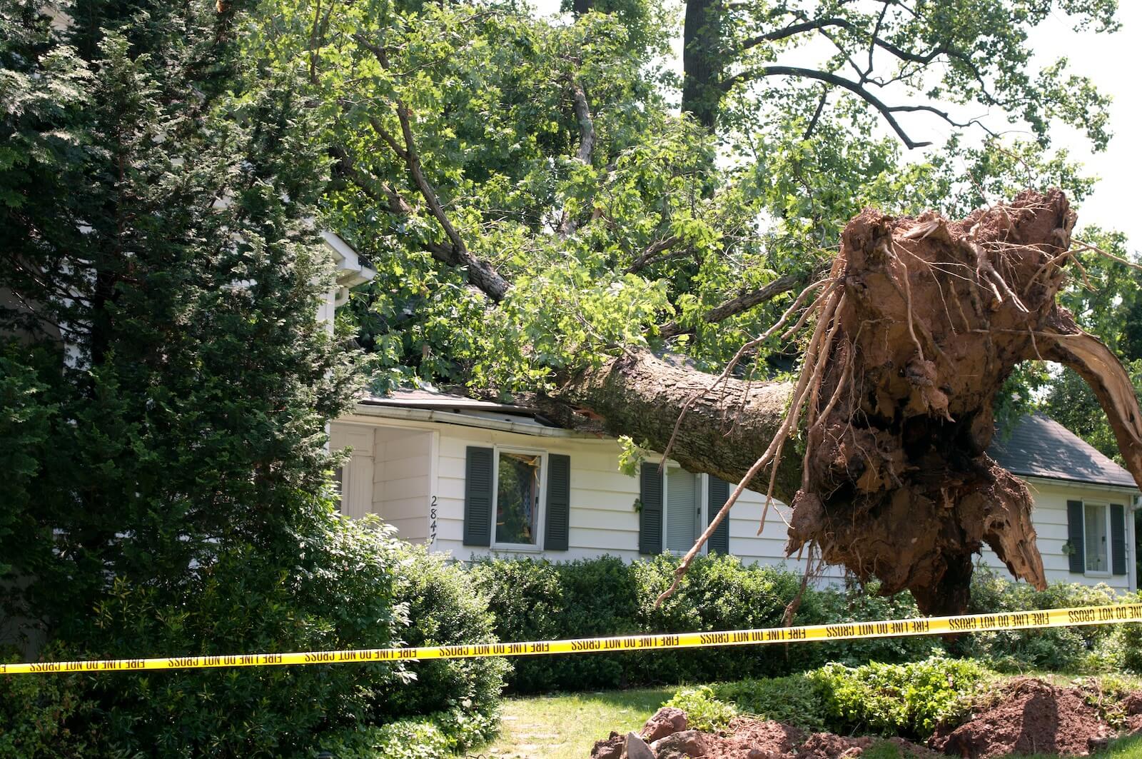 storm damage